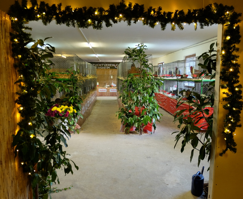 Eingang Halle